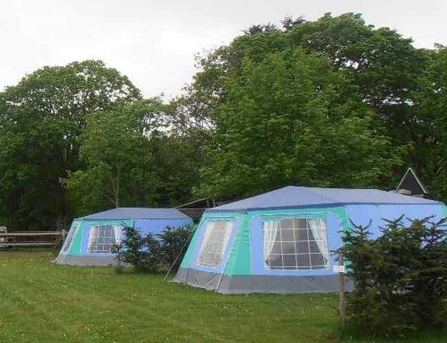 Udlejningsvirksomhed med store familietelte til danske campingpladser til salg