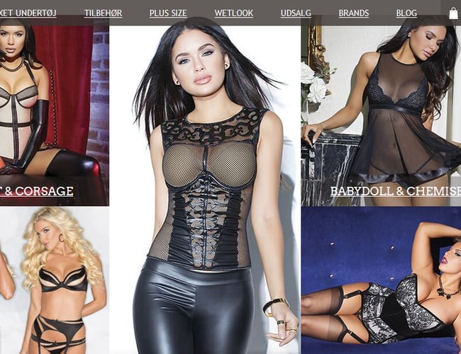 Kørende webshop med omsætning på +0.5 mill 2017 og månedligt overskud!