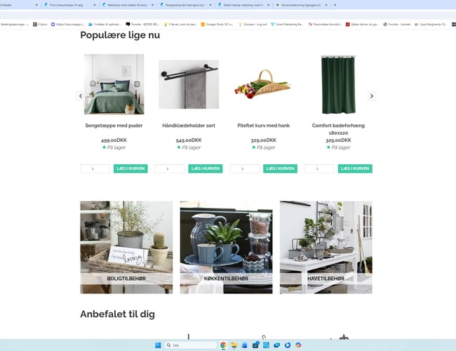Etableret bolig- & interiørwebshop med stort vækstpotentiale