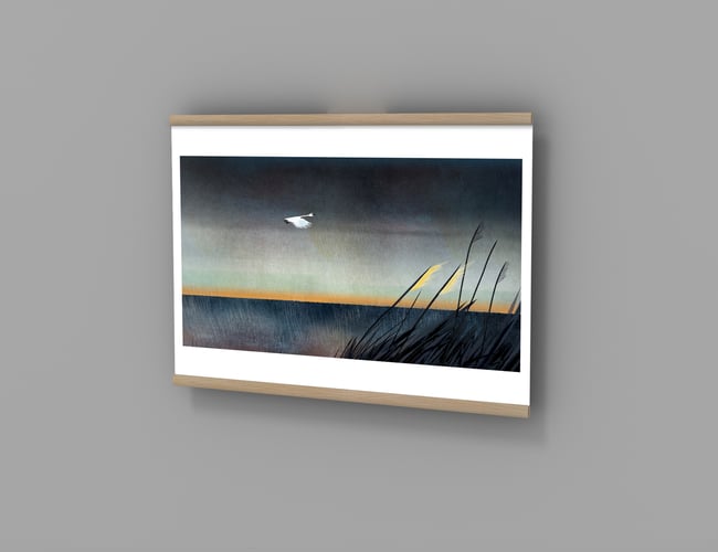 Salg af 5000+ plakater