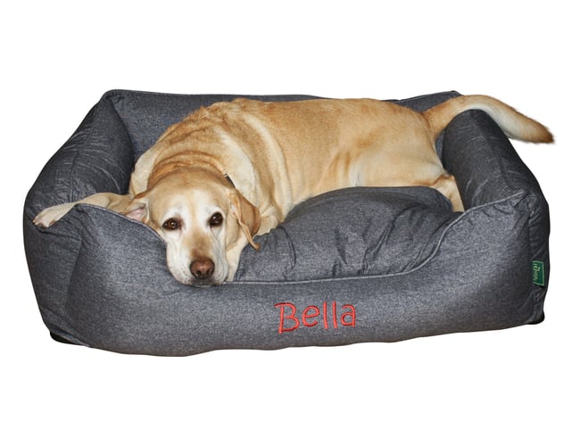 Bliv ejer af 2 webshops på én gang. Veletableret webshop med børneudstyr samt nystartet webshop med dyreartikler.