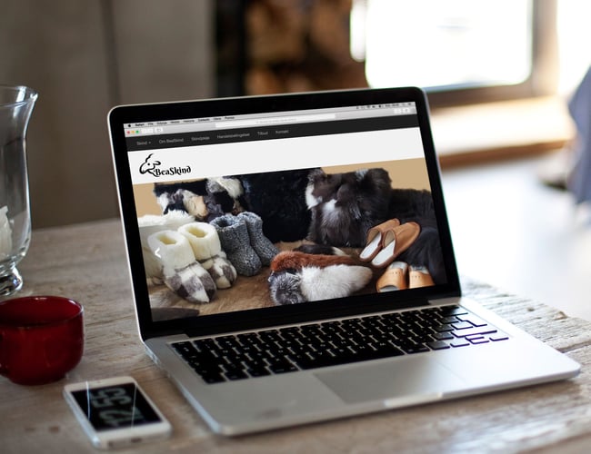 Webshop med salg af skindprodukter med omsætning på ca. 250.000-400.000 kr. per år.