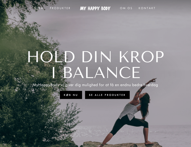 Køreklar niche sports/Wellness Shopify shop med customized tema og gode leverandør aftaler - 100% konverteringsoptimeret. 