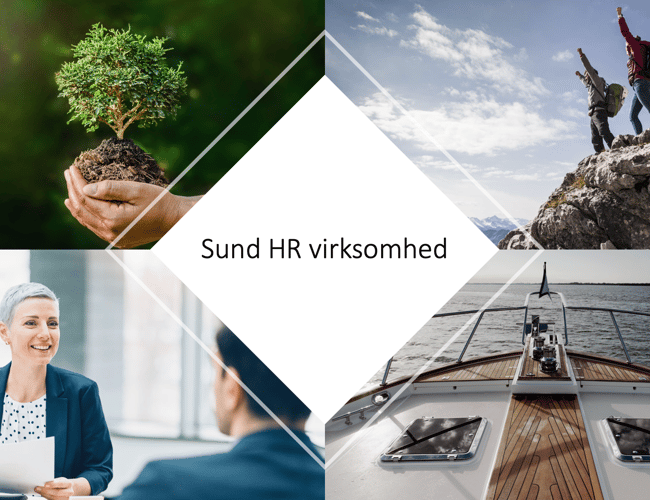 Sund HR virksomhed til salg - Omsætning på 2.276.000 DKK i 2022 - Overskud før skat: 633.000 DKK