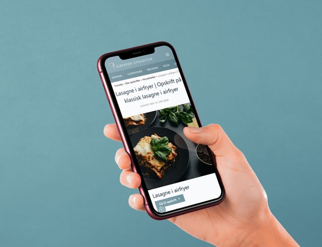 SEO-stærk airfryer opskriftsside med allerede passiv indtjening via AdSense - Over 75.000 organiske besøgende i total
