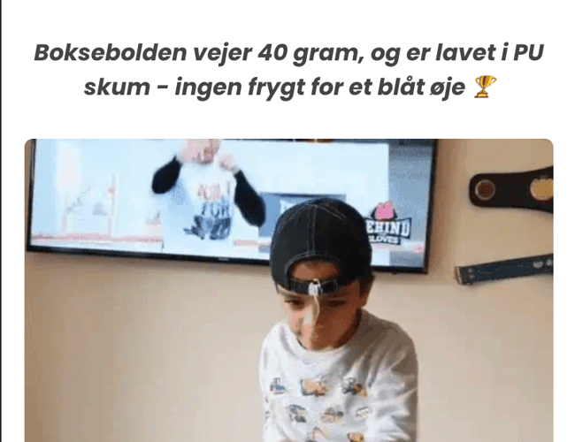 Boksebolden.dk (500.000++ kr. i omsætning)