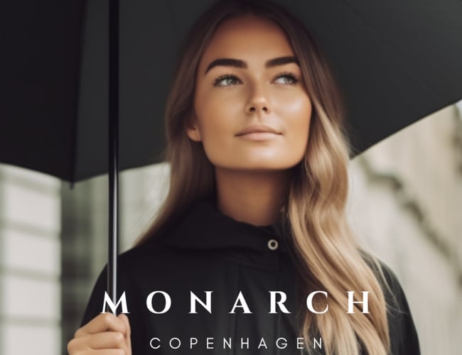 Luksuriøs paraplywebshop med stærkt brand sælges