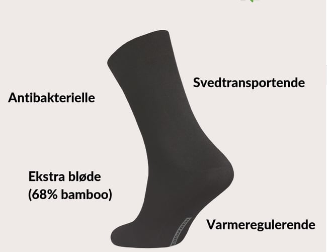 Webshop med salg af boxershorts og sokker på abonnement - omsat for 17.500 kr. 