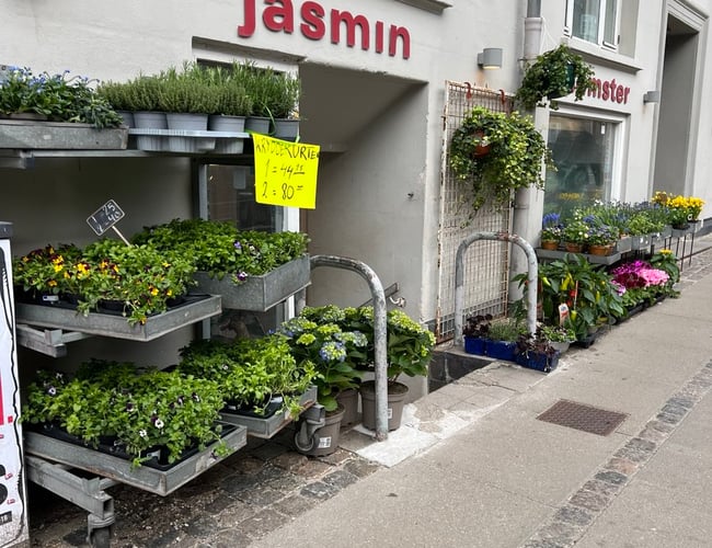Blomsterbutik til Salg