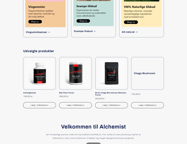 Dropshipping | Ready to go | fuld automatiseret - shopify webshop