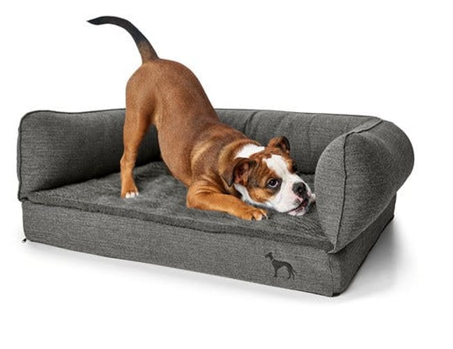 Hollywooddogs.dk - webshop med salg af tilbehør til hunde