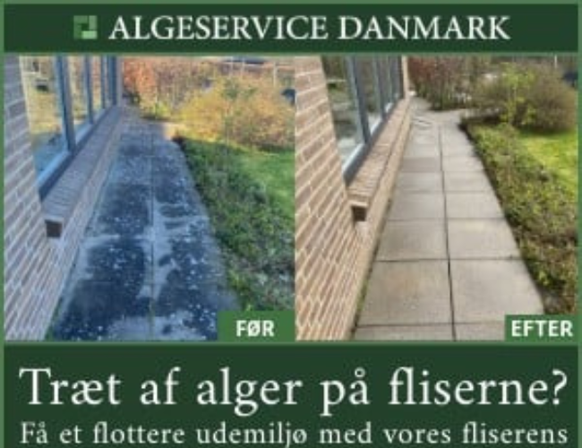 Super tilbud. Bliv selvstændig for få penge (200.000Kr.) + Moms.