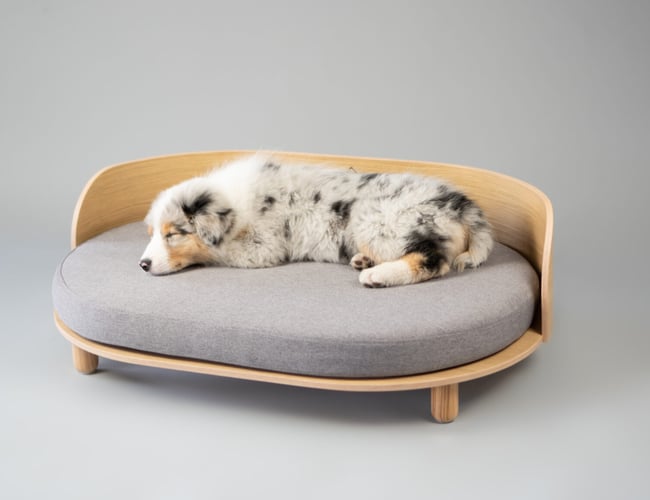 Doggies.dk - Webshop med omsætning sælges (Dropshipping) - Omsætning på +60.000 kr. i 2021