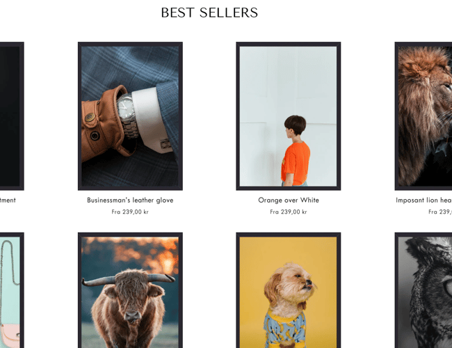 Dropshipping shop med salg af plakater - Avance på hele +50%