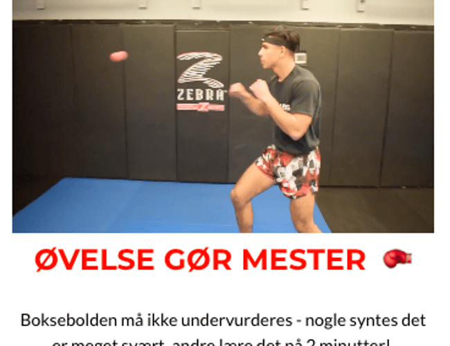 Boksebolden.dk (500.000++ kr. i omsætning)