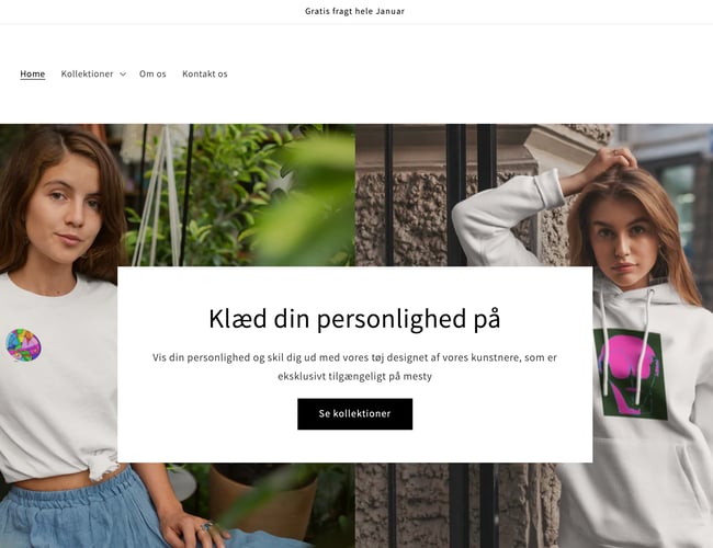 Salg af webshop Mesty.dk - Omsat for små 8000 kr.