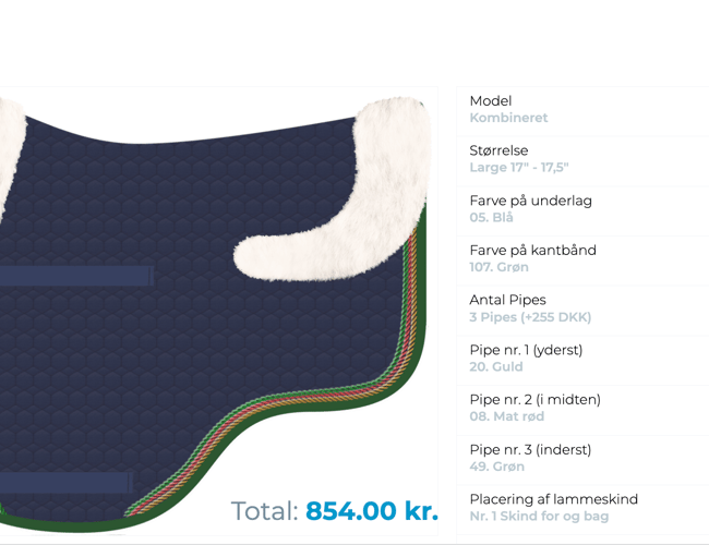 Velrennomeret rideudstyrs webshop med delvist dropshipping koncept! omsætning 2022: 2022: 624.288 kr.