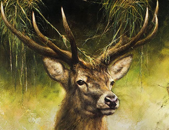 Webshop til et aktivt outdoor liv