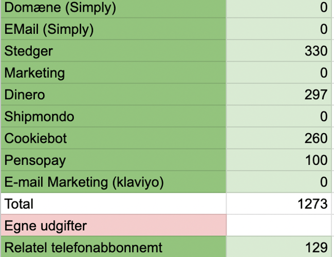 Veletableret dropshipping webshop!!