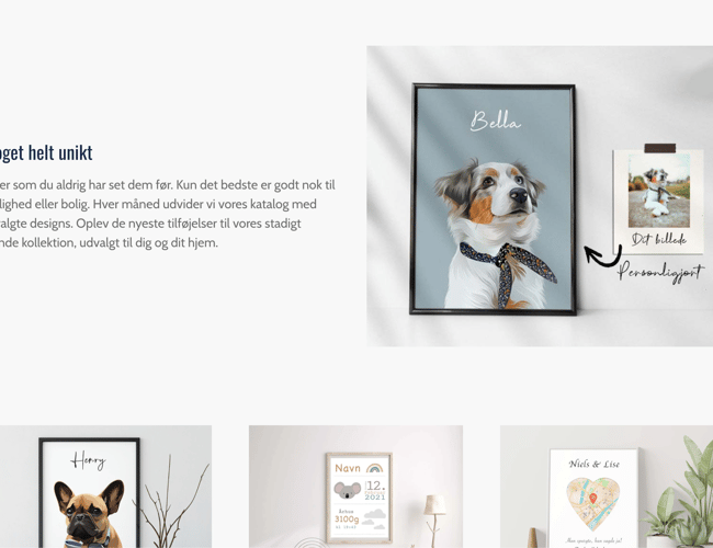 Plakat webshop med omsætning sælges - Dropshipping - omsat for 6500kr. på 3 uger med 300 kr. i ad spend