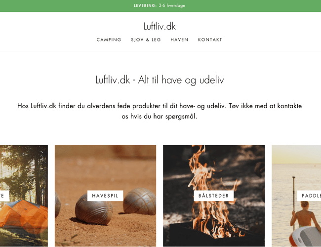 Dropship Webshop med omsætning.