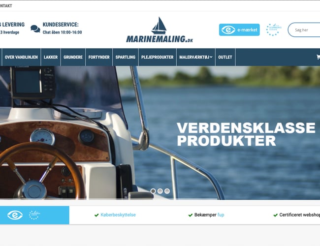 Dropshipping webshop med bådmaling køreklar - Omsætning på +450.000 kr. i 2021