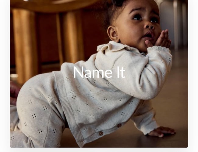 Veletableret overskudsgivende dansk niche-webshop inden for baby & børn 