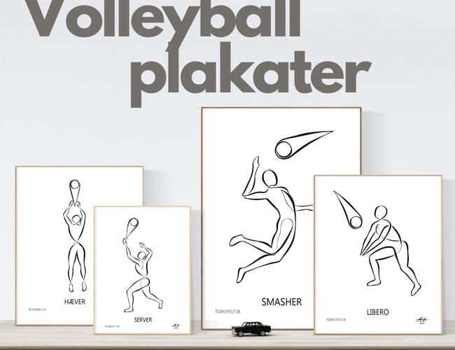 Danmarks førende volleyball-shop -  suveræn SEO & omsætning på + 500.000 kr./år.