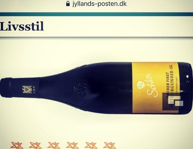Webshop med salg af vin fra Tyskland - Omsætning: 576.943, Overskud: 92.456 kr. (før skat)
