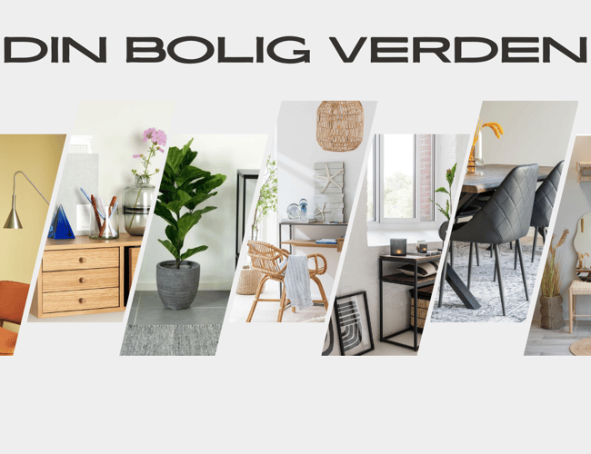 Veletableret dropshipping webshop!!