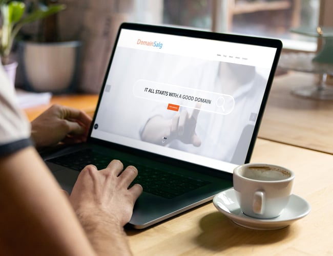 Danmarks største domæne site sælges - Salg af unikke domæner 