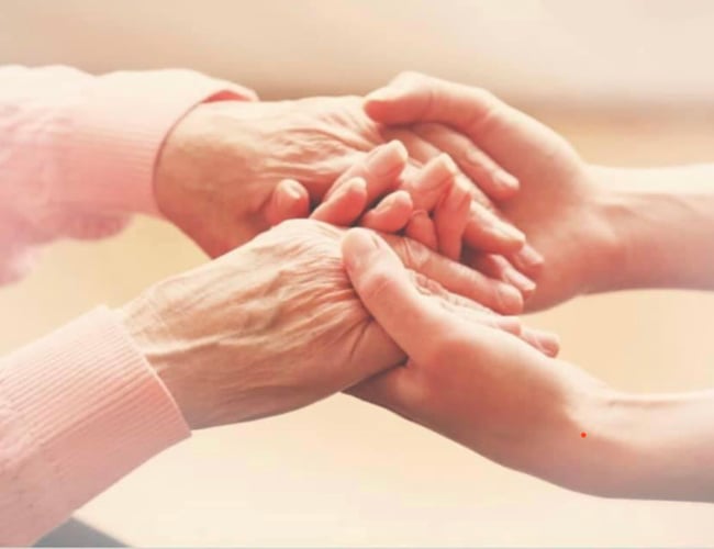 ServiceVirksomhed Horsens