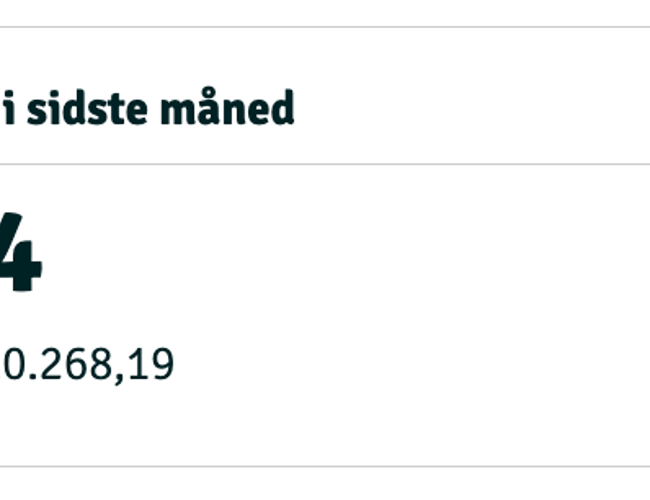 14 år gammel Webshop til salg - Børnibalance - Omsætning 3.3 millioner - Forventet 4.2 millioner i 2023