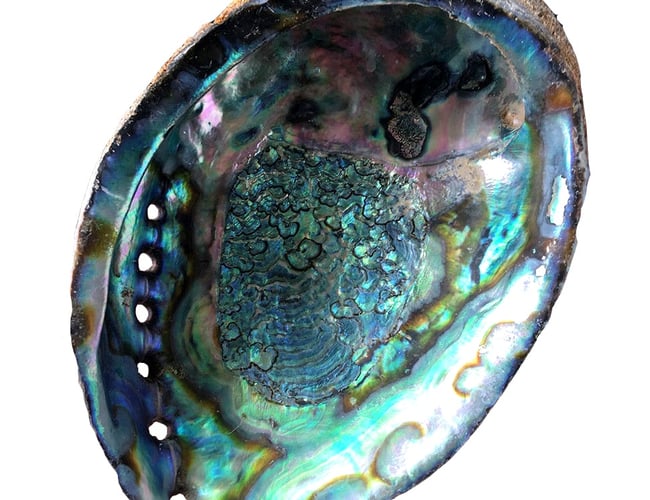 Spirituel webshop klar til take off