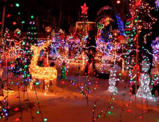 Nu har du muligheden for et købe et af det bedste Navne indenfor Julesalget incl. webshop