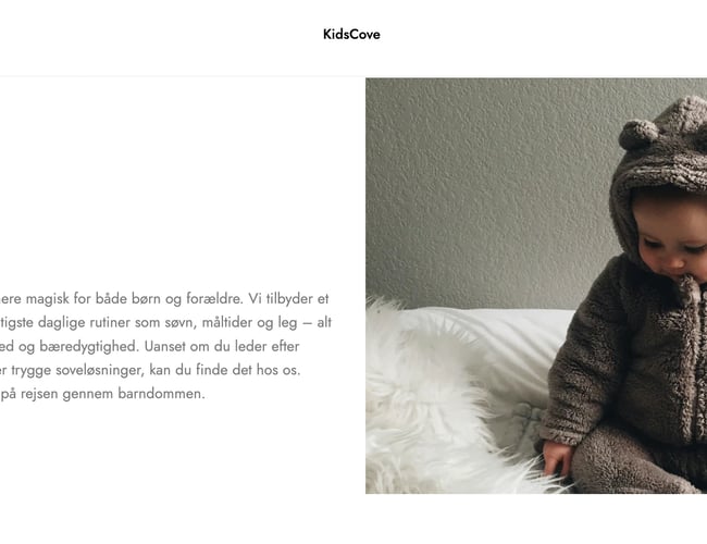 Spændende dropshipping webshop med salg af børneudstyr