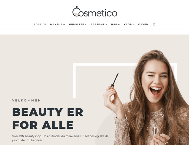 3x Dropshipping hjemmeside med gennemsnitlig omsætning på 21.250 kr. om måneden. 