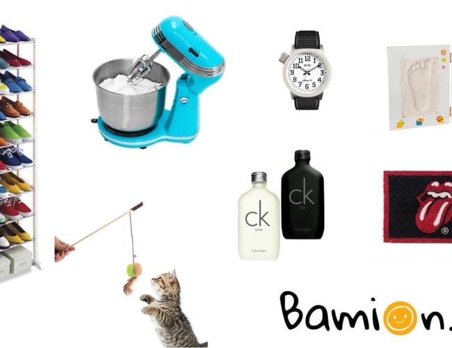 Bamion.dk - Nyopstartet dropshipping webshop med +15.000 varer og lidt omsætning (Inkl. samme .com, .se og .no domæner)