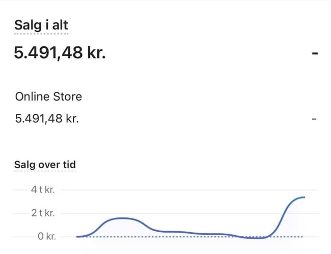 Plug’n’Play klar webshop inkl. varelager - 2022 omsat for 5.620 kr.