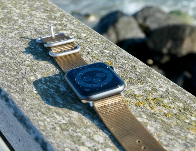 Flot webshop med potentiale, salg af AppleWatch remme. - Omsætning: 43.658 kr.