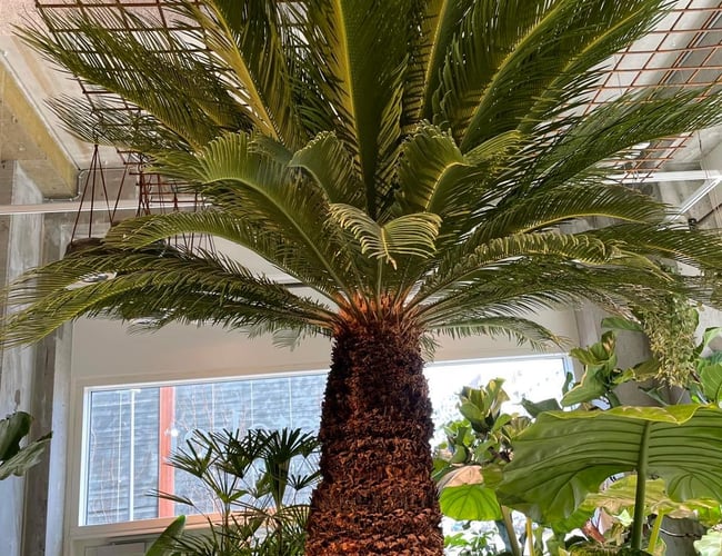 Blomsterforretning- Medlem af Interflora omsætning på 4.5 millioner i cph.