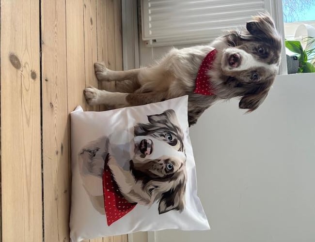 PawPrints.dk - Kæledyrsportrætter, puder, kaffekrus og muleposer