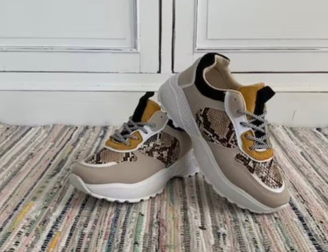 Flot eksklusiv webshop med salg af sko sælges - Omsætning 2021 kr. 64.000,00 kr. - Leverandør fra Europa