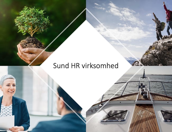 Sund HR virksomhed til salg - Omsætning på 2.276.000 DKK i 2022 - Overskud før skat: 633.000 DKK