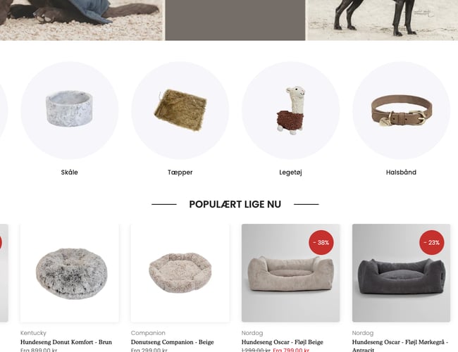 Webshop med hundeudstyr