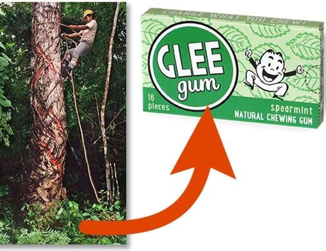 GLEEgum Nyhed (NATUR TYGGEGUMMI) Biologisk nedbrydeligt (UDEN PLASTIK) - søger partnere/medejere