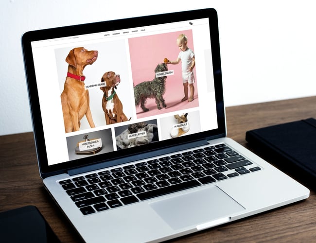 luksushund.dk - Lækre produkter til hunden, omsætning 900.000 siden åbning i januar.