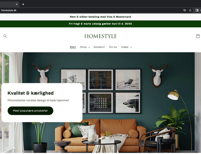 HOMESTYLE l 100% køreklar dropshipping hjemmeside til salg
