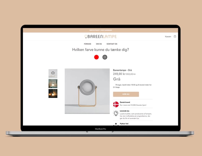 Køreklar dropshipping side med kæmpe potientale