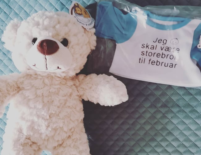 Webshop med salg af Bamser og tilbehør - Omsætning 2020: 75.000 kr.